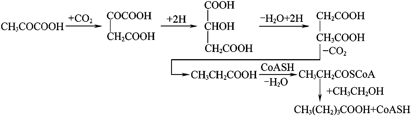 二、各種微量成分的生成機(jī)理